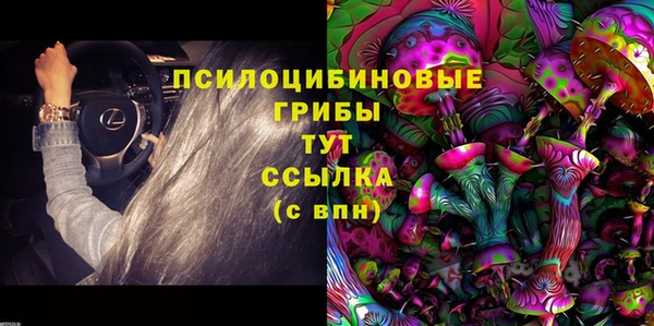 бошки Балахна