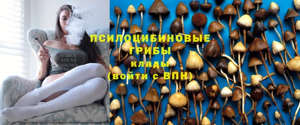 винт Баксан
