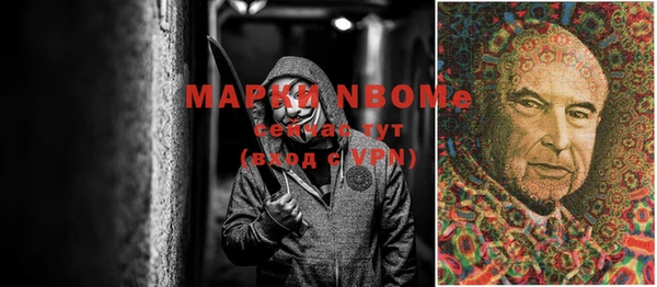 apvp Аркадак